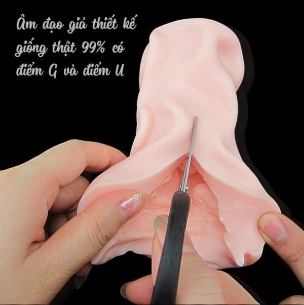 Thiết kế âm đạo giả 3D silicone