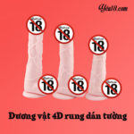 Dương vật giả rung dán tường 4D DV06